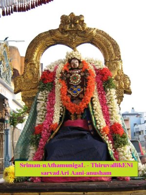 Thiruvallikkeni - Sarvadhari - Ani - Anusham