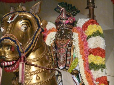 Sri Parthasarathi on Gudirai vahanam - Vijayadasami purappadu3.jpg