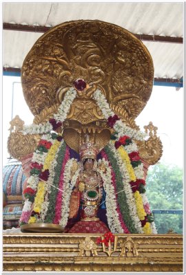 Sri Annan Perumal - Karpaga Vriksham (4th Day).jpg