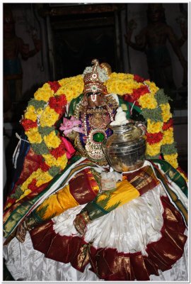 Sri Annan Perumal - Vennai Thaazhi (8th Day Morining).jpg