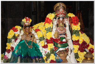 Sri Annan Perumal-Sri AlarMelMangai Thaayar Seerthi (ThiruKalyana Utsavam).jpg