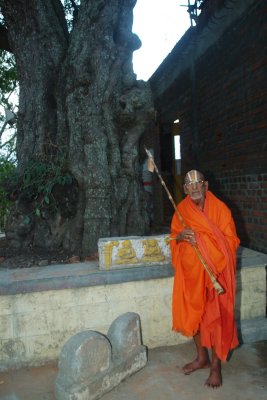 Under the famous tree where SrImath AdivaN sathakOpa swAmi performed kalakshepams (formatted to  print 20x30)