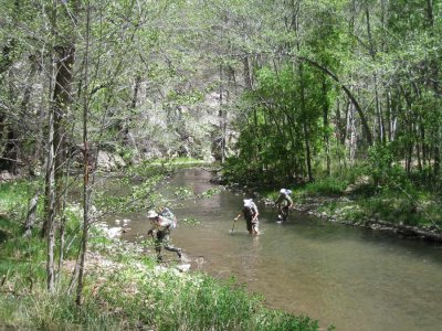 Ted, Martina and Richard wade the Gila