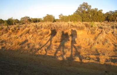 3 shadows hiking