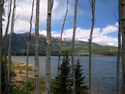 Aspens, Twin Lakes, Mt Elbert