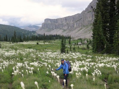 Chinese Wall, Bob Marshall Wilderness