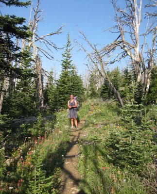 Meadows on the divide, Scapegoat Wilderness