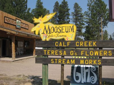 Lincoln Mooseum, Montana