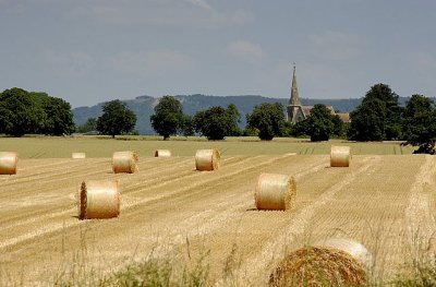 Tranquil English Countryside