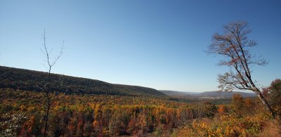 Rouch Creek Colors