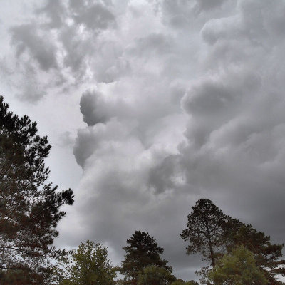 Something wicked this way comes...