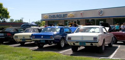 Mustangs and Chevrolet