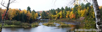 Lower Falls Panorama