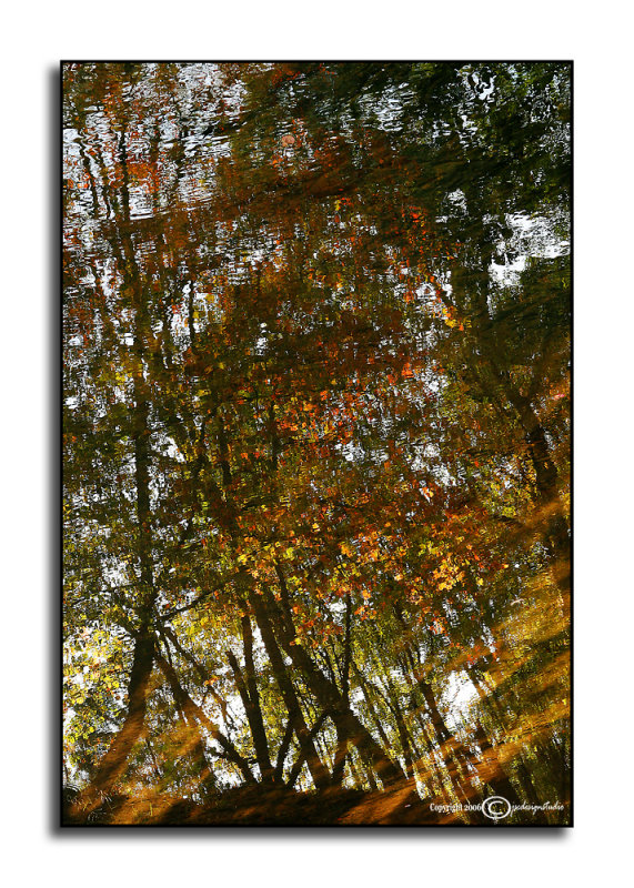 DAY 4<br>Flip<br>October 4