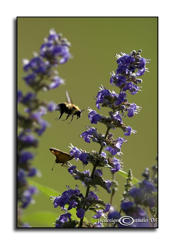 Mid Flight<br>July 5