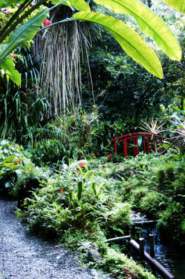 Botanical Gardens, St. Lucia