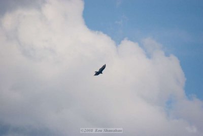 20D_IMG_6169.jpg