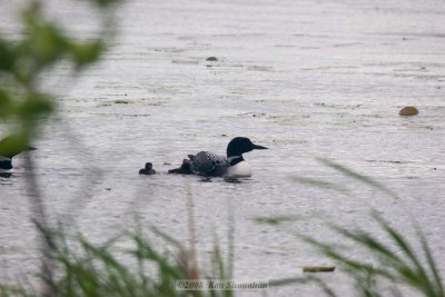 20D_IMG_6192.jpg