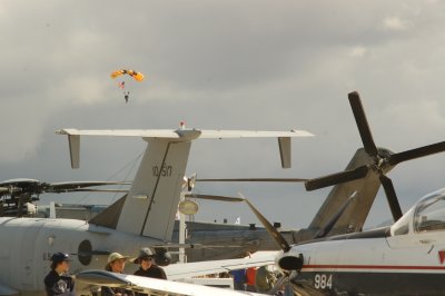 Sky Divers