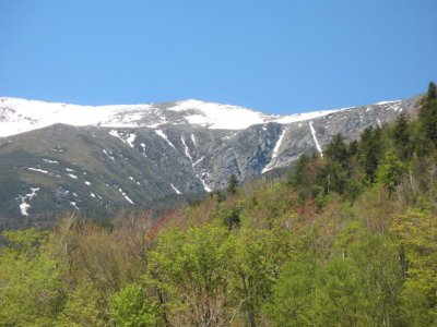 Img_8625.jpg