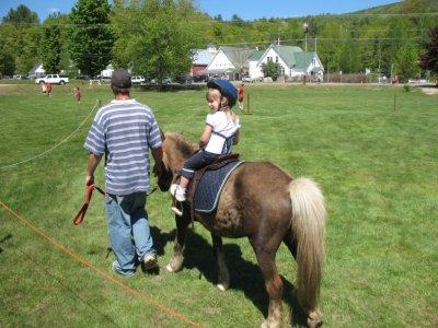 Img_8654.jpg