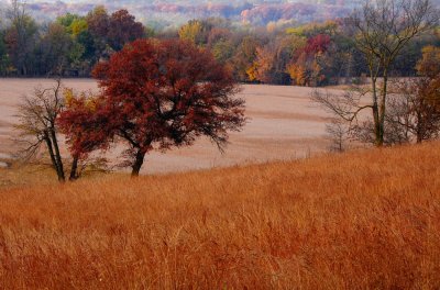 Adam Ondi Aman Autumn