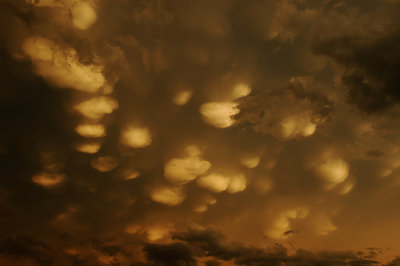 Mammatus Cloudscape