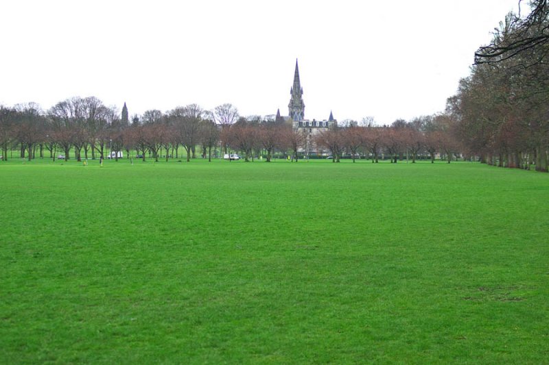 The Meadows