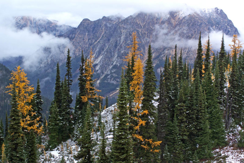 Heather Pass (North West)