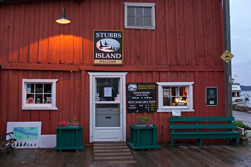 Whale watching tour