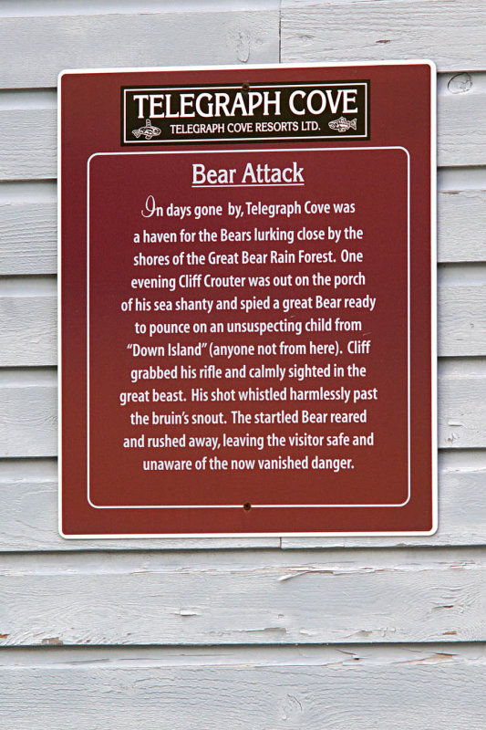 Bear Attack