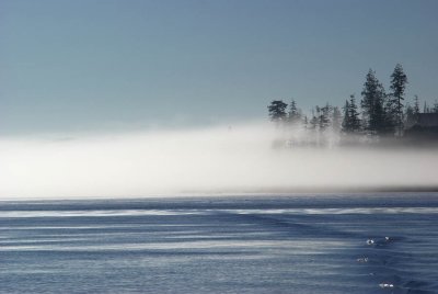 Morning Fog