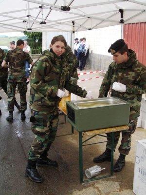 marche de l'armee 2009
