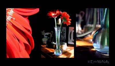 Red Flower & Vase