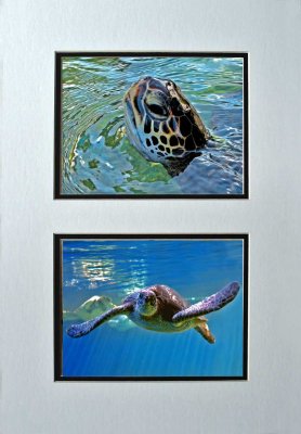 Multiple Opening Giclee Prints