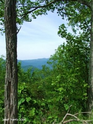 Blue Ridge Parkway 4