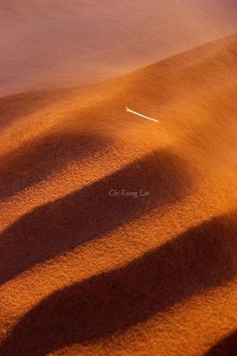 Dune closeup, Namibia