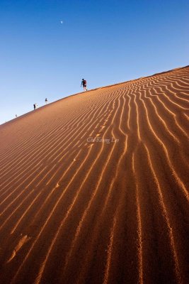 Sossusvlei Dune, Namibia