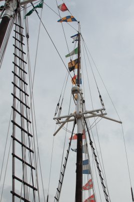 IMG_9855.JPG