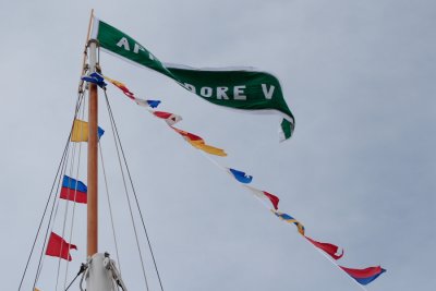 IMG_9865.JPG