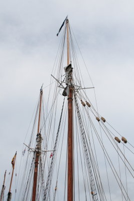 IMG_9881.JPG