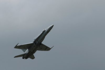 IMG_0473.JPG