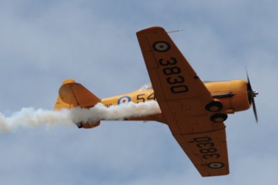 IMG_0596.JPG