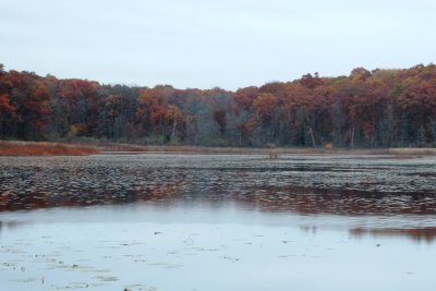 IMG_1608.JPG