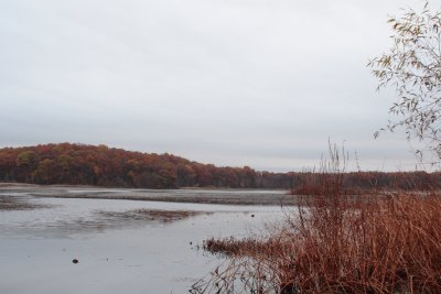 IMG_1613.JPG