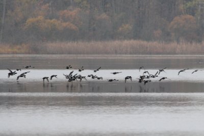 IMG_1630.JPG