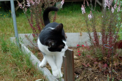 tightrope 1