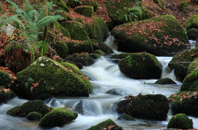 River Kennal, Ponsanooth