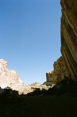 83270036s.jpg