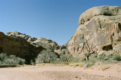 83280008s.jpg